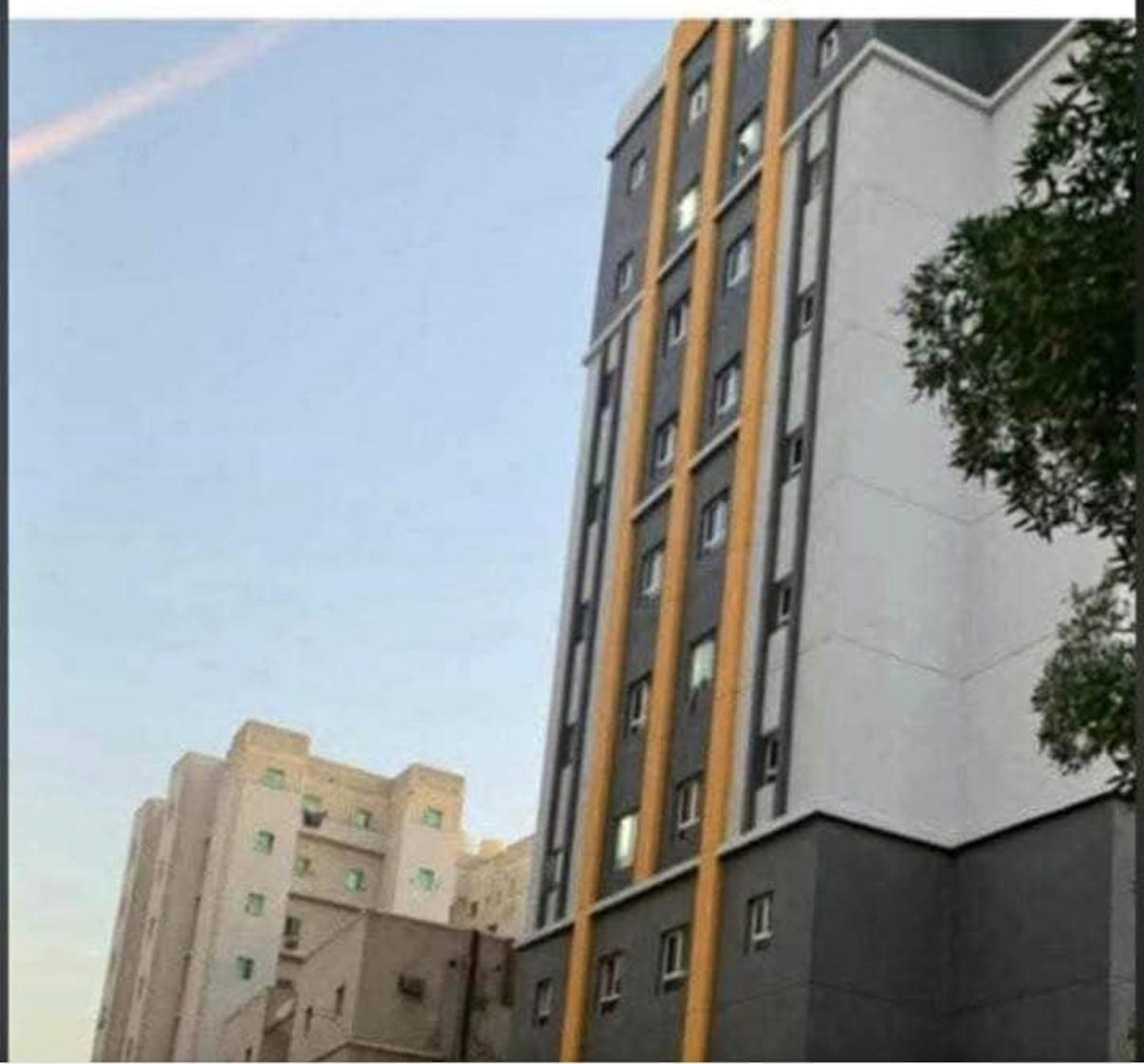 1 bhk flat for rent